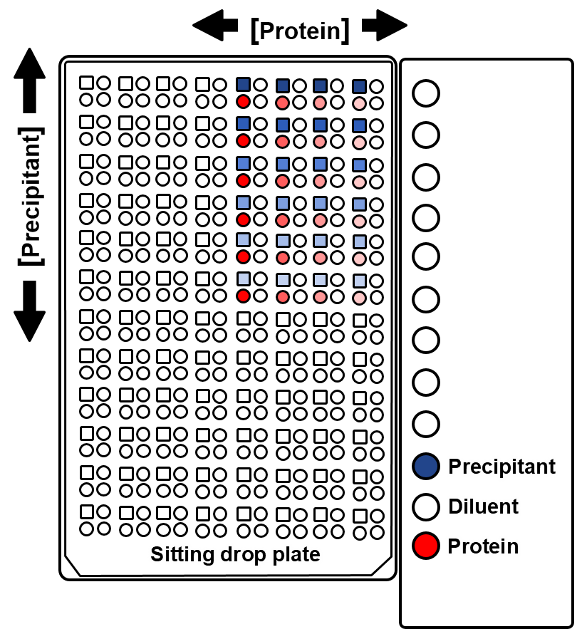 2D gradient optimization in protein crystallization using OryxNano robot