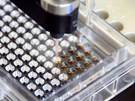 Microbatch under oil optimization video for protein crystallization