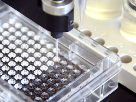 Microbatch under oil screening video for protein crystallization